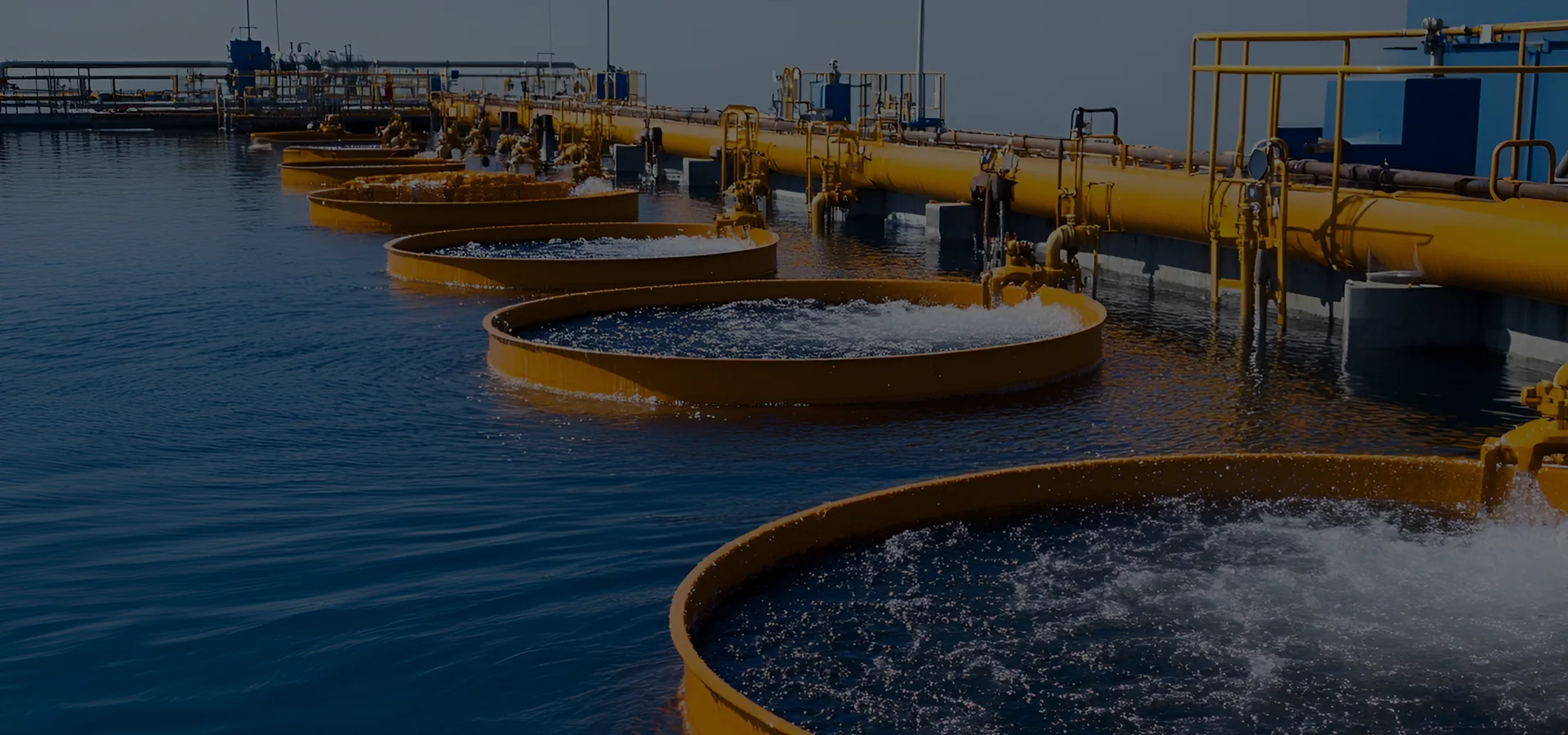 Vores virksomhed har etableret et komplet kvalitetskontrol- og sikringssystem